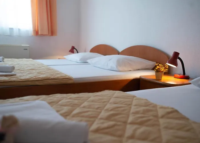 Millenium Pensión Neum